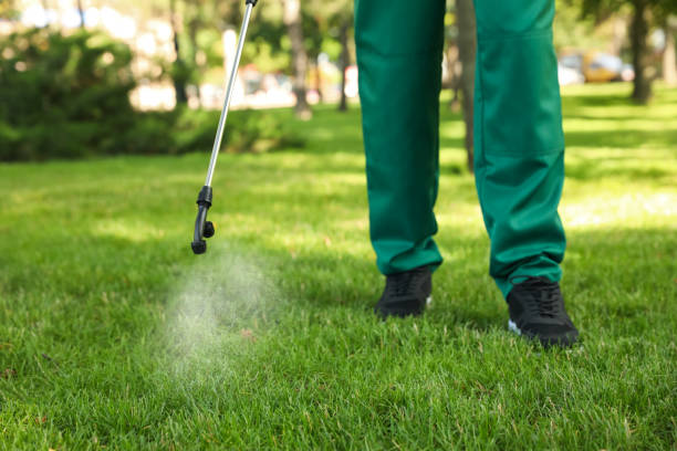Flea Control Services in Dunkirk, MD