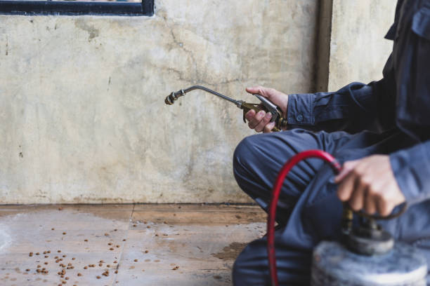 Best Pest Prevention Services  in Dunkirk, MD