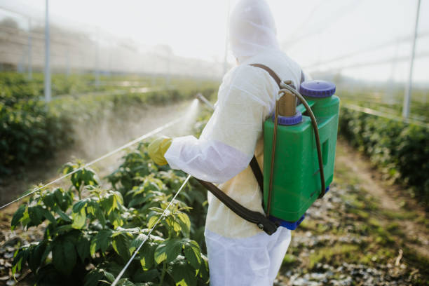 Best Pest Inspection Near Me  in Dunkirk, MD